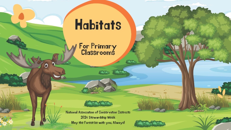 Habitats Primary Grades K-2 Presentation