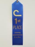 1st Place Ribbon - 1 Ribbon - Includes Shipping
