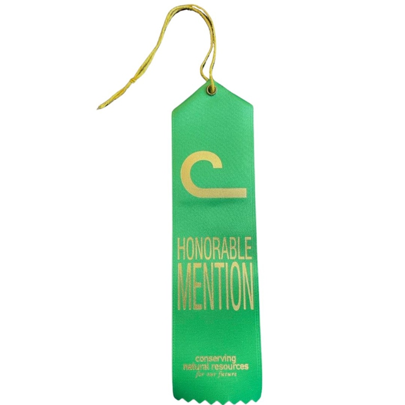Honorable Mention - 1 Ribbon (Shipping Included)