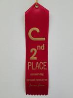 2nd Place Ribbons - 1 Ribbon - Includes Shipping